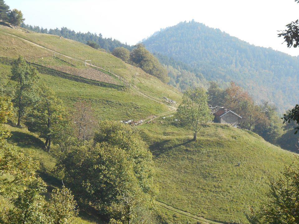 Agriturismo Fiorendo Pinerolo ภายนอก รูปภาพ