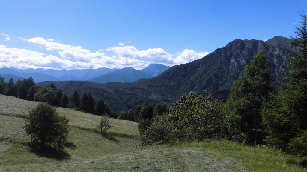 Agriturismo Fiorendo Pinerolo ภายนอก รูปภาพ